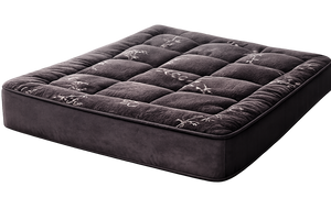 OUR PRODUCT
